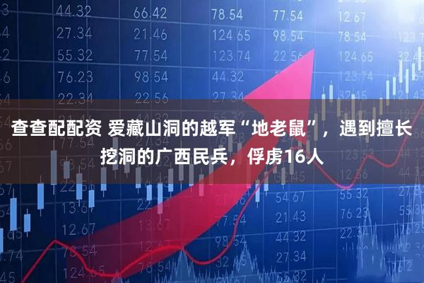 查查配配资 爱藏山洞的越军“地老鼠”，遇到擅长挖洞的广西民兵，俘虏16人
