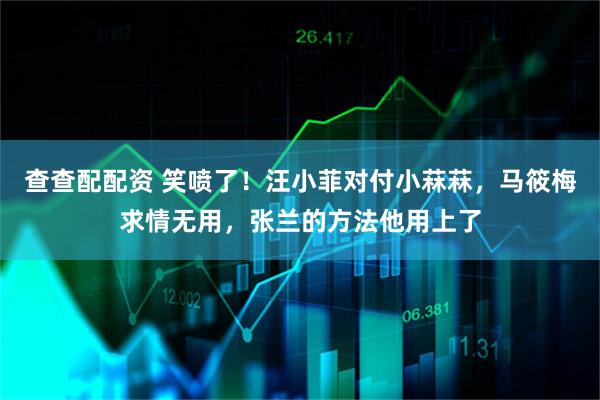 查查配配资 笑喷了！汪小菲对付小菻菻，马筱梅求情无用，张兰的方法他用上了