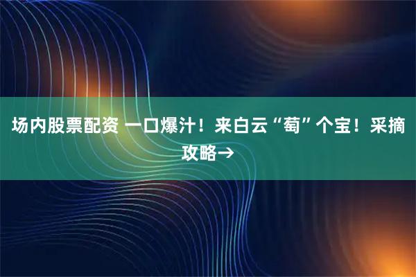 场内股票配资 一口爆汁！来白云“萄”个宝！采摘攻略→